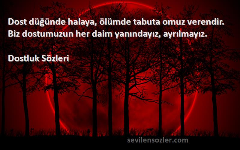 Dostluk  Sözleri 
Dost düğünde halaya, ölümde tabuta omuz verendir. Biz dostumuzun her daim yanındayız, ayrılmayız.
