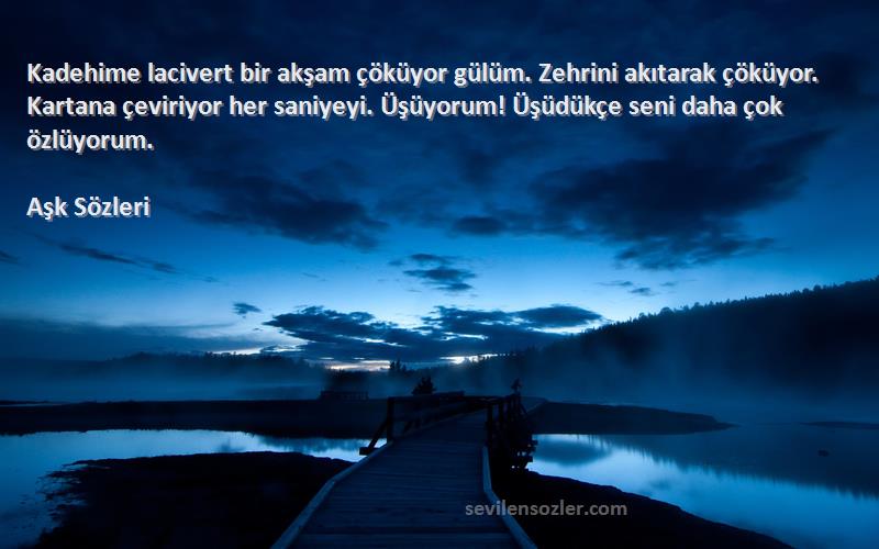 Aşk  Sözleri 
Kadehime lacivert bir akşam çöküyor gülüm. Zehrini akıtarak çöküyor. Kartana çeviriyor her saniyeyi. Üşüyorum! Üşüdükçe seni daha çok özlüyorum.
