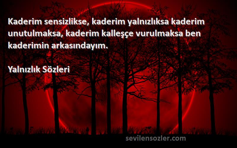 Yalnızlık  Sözleri 
Kaderim sensizlikse, kaderim yalnızlıksa kaderim unutulmaksa, kaderim kalleşçe vurulmaksa ben kaderimin arkasındayım.
