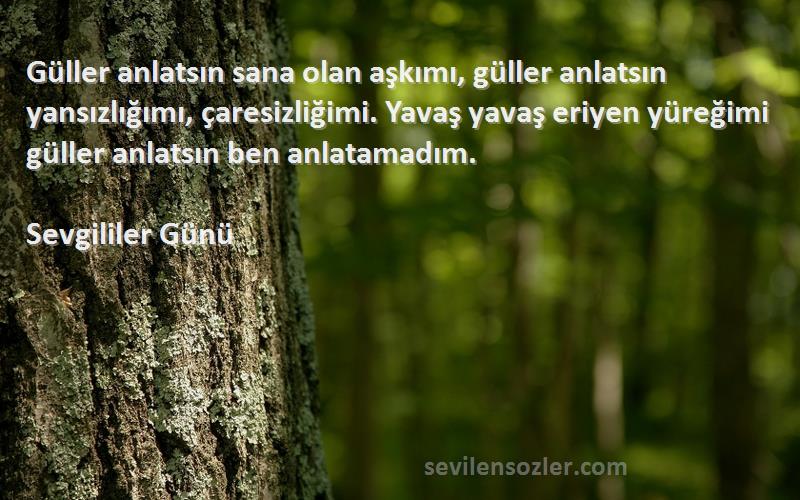 Sevgililer Günü Sözleri 
Güller anlatsın sana olan aşkımı, güller anlatsın yansızlığımı, çaresizliğimi. Yavaş yavaş eriyen yüreğimi güller anlatsın ben anlatamadım.