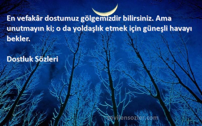 Dostluk  Sözleri 
En vefakâr dostumuz gölgemizdir bilirsiniz. Ama unutmayın ki; o da yoldaşlık etmek için güneşli havayı bekler.
