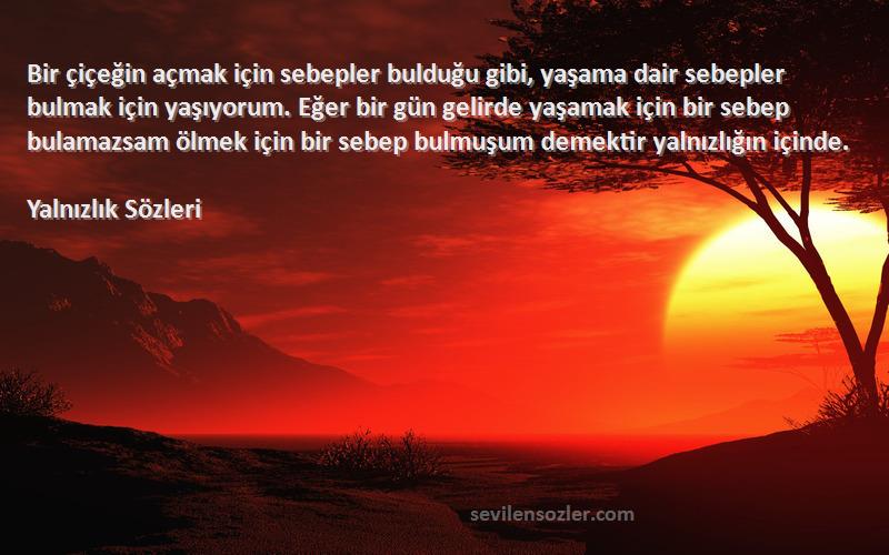 Yalnızlık  Sözleri 
Bir çiçeğin açmak için sebepler bulduğu gibi, yaşama dair sebepler bulmak için yaşıyorum. Eğer bir gün gelirde yaşamak için bir sebep bulamazsam ölmek için bir sebep bulmuşum demektir yalnızlığın içinde.
