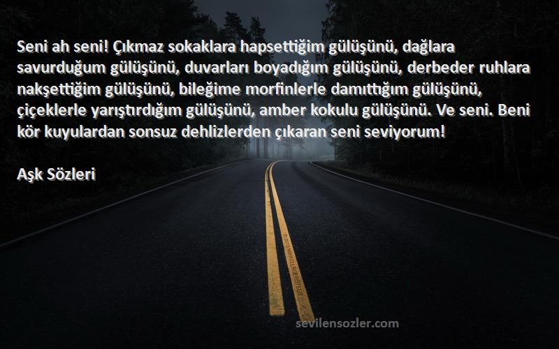 Aşk  Sözleri 
Seni ah seni! Çıkmaz sokaklara hapsettiğim gülüşünü, dağlara savurduğum gülüşünü, duvarları boyadığım gülüşünü, derbeder ruhlara nakşettiğim gülüşünü, bileğime morfinlerle damıttığım gülüşünü, çiçeklerle yarıştırdığım gülüşünü, amber kokulu gülüşünü. Ve seni. Beni kör kuyulardan sonsuz dehlizlerden çıkaran seni seviyorum!