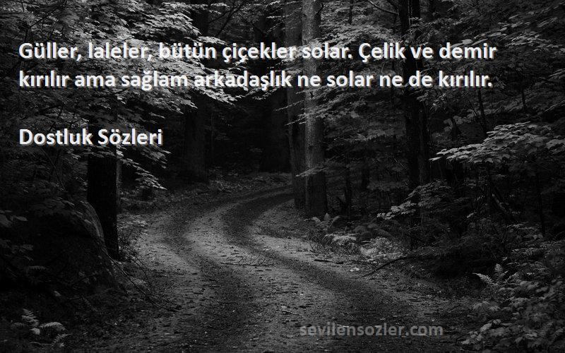 Dostluk  Sözleri 
Güller, laleler, bütün çiçekler solar. Çelik ve demir kırılır ama sağlam arkadaşlık ne solar ne de kırılır.
