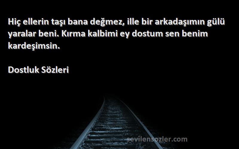 Dostluk  Sözleri 
Hiç ellerin taşı bana değmez, ille bir arkadaşımın gülü yaralar beni. Kırma kalbimi ey dostum sen benim kardeşimsin.
