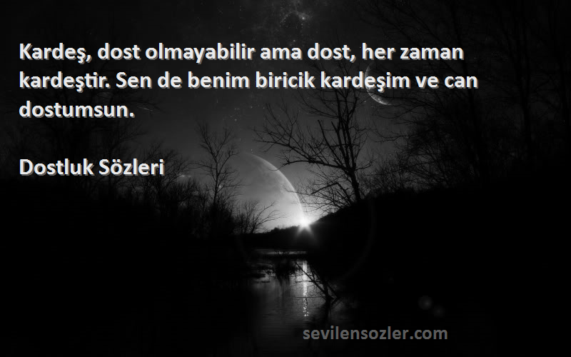 Dostluk  Sözleri 
Kardeş, dost olmayabilir ama dost, her zaman kardeştir. Sen de benim biricik kardeşim ve can dostumsun.
