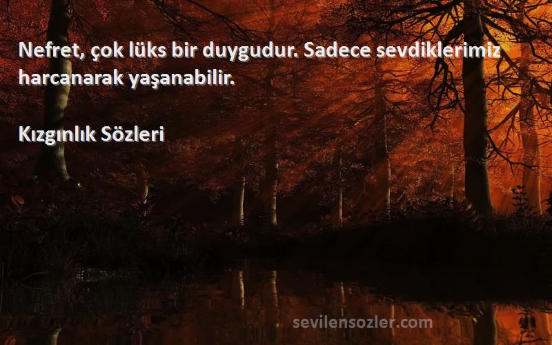Kızgınlık  - Nefret, çok lüks bir duygudur. Sadece sevdiklerimiz harcanarak yaşanabilir.
