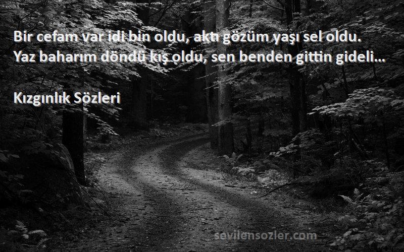 Kızgınlık  Sözleri 
Bir cefam var idi bin oldu, aktı gözüm yaşı sel oldu. Yaz baharım döndü kış oldu, sen benden gittin gideli…
