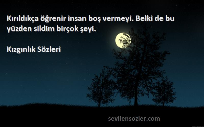 Kızgınlık  - Kırıldıkça öğrenir insan boş vermeyi. Belki de bu yüzden sildim birçok şeyi. 
