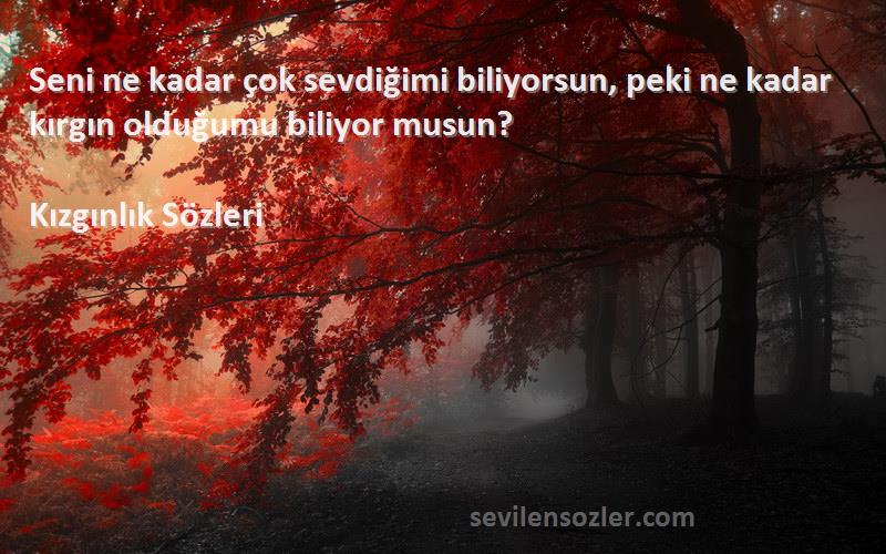 Kızgınlık  - Seni ne kadar çok sevdiğimi biliyorsun, peki ne kadar kırgın olduğumu biliyor musun?
