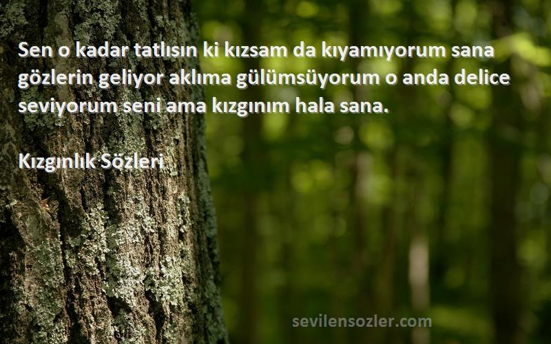 Kızgınlık  Sözleri 
Sen o kadar tatlısın ki kızsam da kıyamıyorum sana gözlerin geliyor aklıma gülümsüyorum o anda delice seviyorum seni ama kızgınım hala sana.
