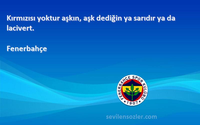 Fenerbahçe Sözleri 
Kırmızısı yoktur aşkın, aşk dediğin ya sarıdır ya da lacivert.

