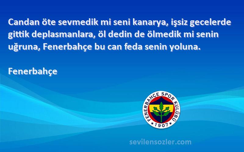 Fenerbahçe Sözleri 
Candan öte sevmedik mi seni kanarya, işsiz gecelerde gittik deplasmanlara, öl dedin de ölmedik mi senin uğruna, Fenerbahçe bu can feda senin yoluna.
