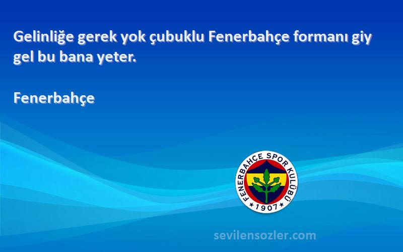 Fenerbahçe - Gelinliğe gerek yok çubuklu Fenerbahçe formanı giy gel bu bana yeter.
