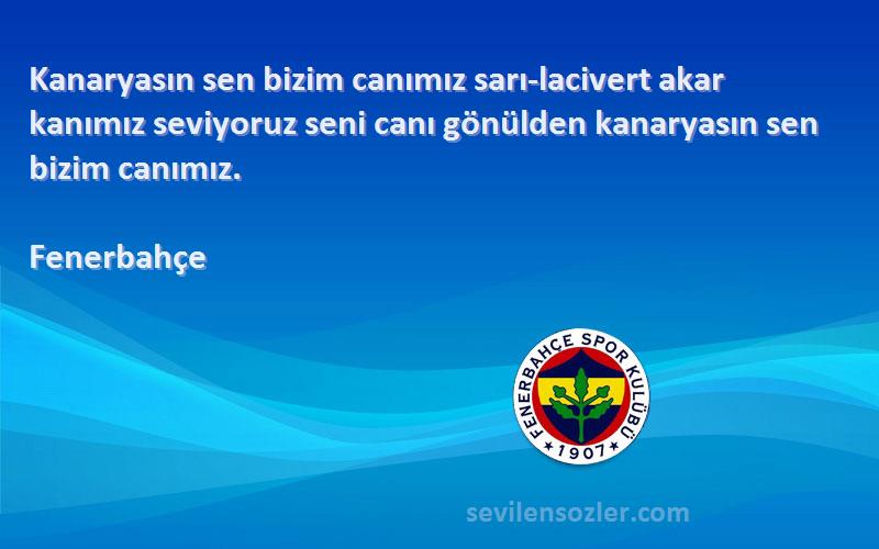 Fenerbahçe Sözleri 
Kanaryasın sen bizim canımız sarı-lacivert akar kanımız seviyoruz seni canı gönülden kanaryasın sen bizim canımız.
