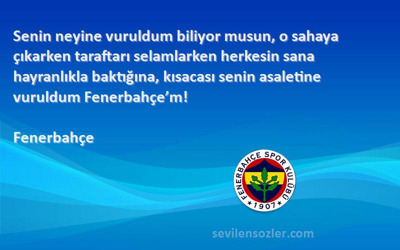 Fenerbahçe Sözleri 
Senin neyine vuruldum biliyor musun, o sahaya çıkarken taraftarı selamlarken herkesin sana hayranlıkla baktığına, kısacası senin asaletine vuruldum Fenerbahçe’m!
