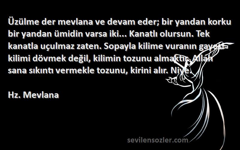 Hz. Mevlana Sözleri 
Üzülme der mevlana ve devam eder; bir yandan korku bir yandan ümidin varsa iki... Kanatlı olursun. Tek kanatla uçulmaz zaten. Sopayla kilime vuranın gayesi kilimi dövmek değil, kilimin tozunu almaktır. Allah sana sıkıntı vermekle tozunu, kirini alır. Niye.