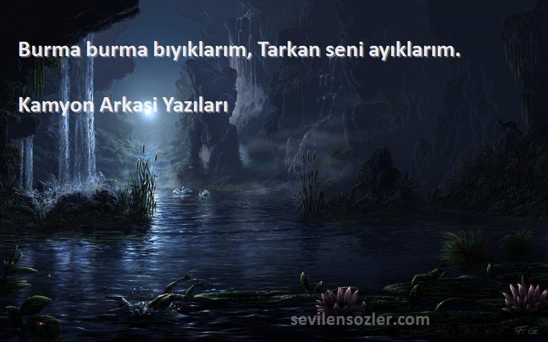 Kamyon Arkasi Yazıları - Burma burma bıyıklarım, Tarkan seni ayıklarım. 
