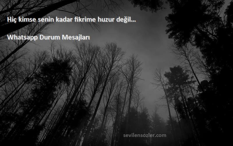 Whatsapp Durum Mesajları - Hiç kimse senin kadar fikrime huzur değil…
