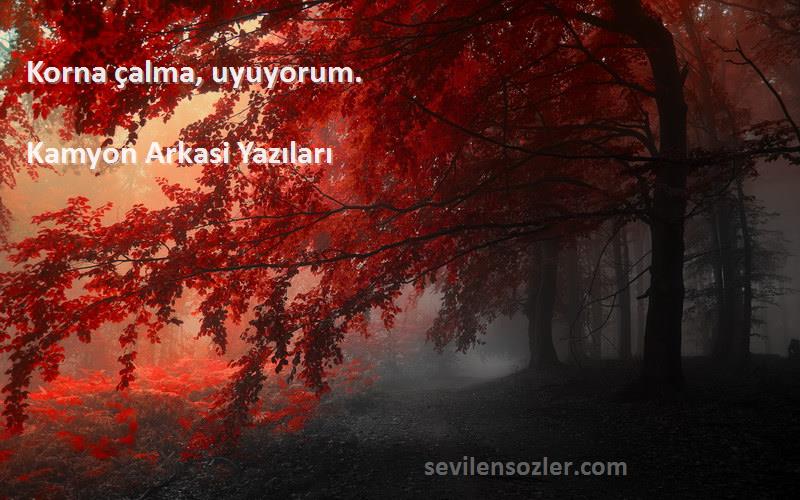 Kamyon Arkasi Yazıları - Korna çalma, uyuyorum.
