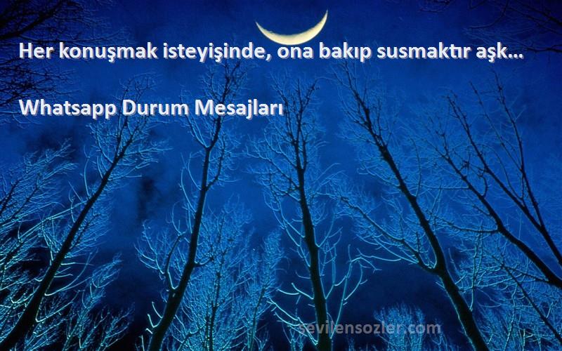 Whatsapp Durum Mesajları - Her konuşmak isteyişinde, ona bakıp susmaktır aşk…
