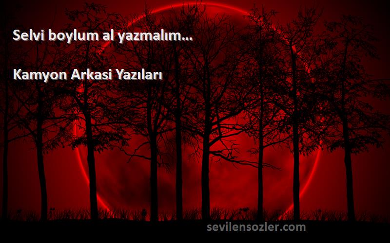 Kamyon Arkasi Yazıları - Selvi boylum al yazmalım… 
