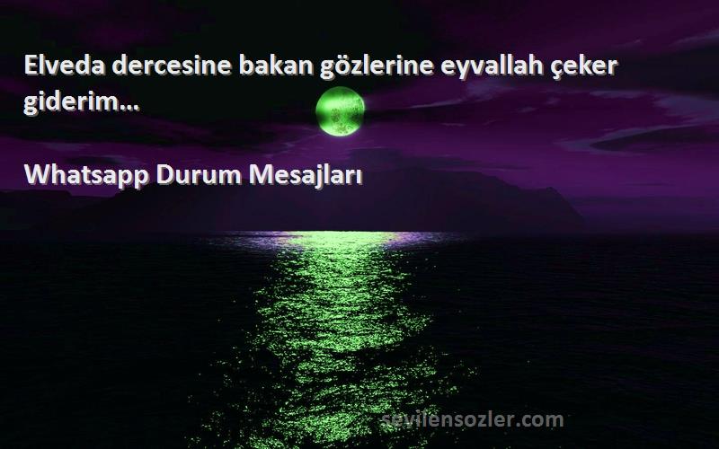 Whatsapp Durum Mesajları - Elveda dercesine bakan gözlerine eyvallah çeker giderim…
