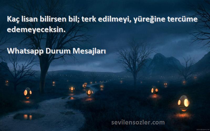 Whatsapp Durum Mesajları - Kaç lisan bilirsen bil; terk edilmeyi, yüreğine tercüme edemeyeceksin.
