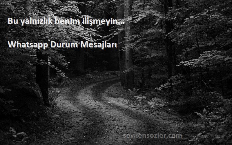 Whatsapp Durum Mesajları - Bu yalnızlık benim ilişmeyin…
