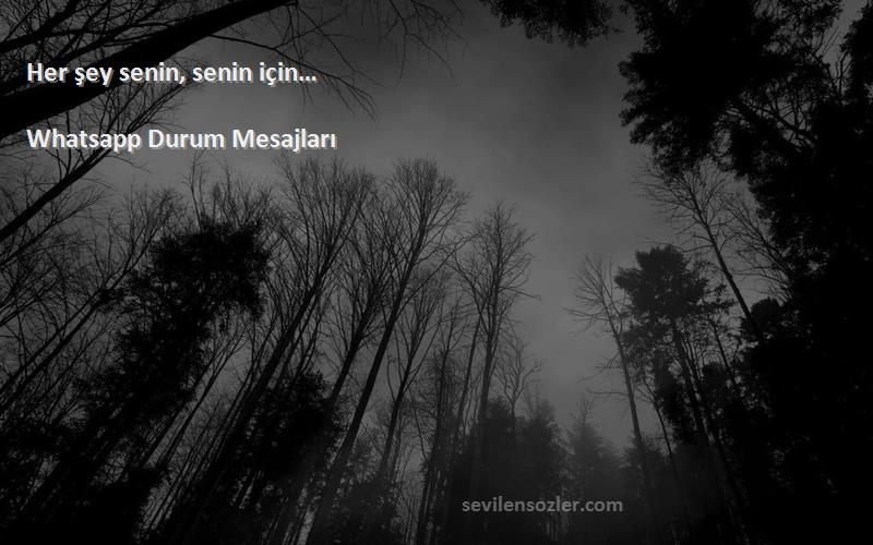 Whatsapp Durum Mesajları - Her şey senin, senin için…
