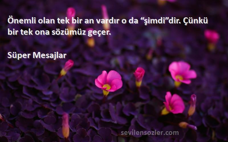 Süper Mesajlar - Önemli olan tek bir an vardır o da “şimdi”dir. Çünkü bir tek ona sözümüz geçer.
