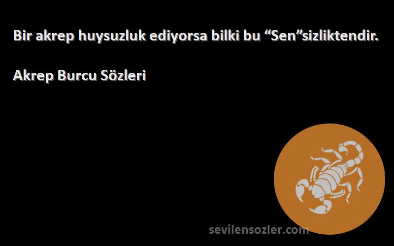 Akrep Burcu  - Bir akrep huysuzluk ediyorsa bilki bu “Sen”sizliktendir.
