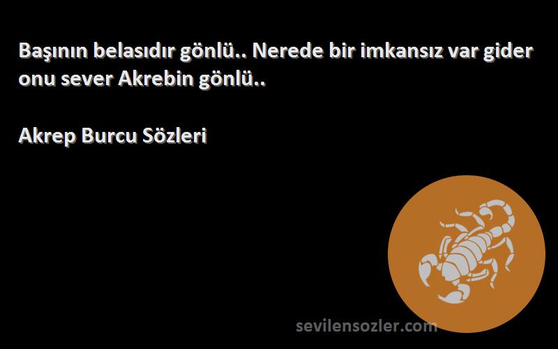 Akrep Burcu  Sözleri 
Başının belasıdır gönlü.. Nerede bir imkansız var gider onu sever Akrebin gönlü..
