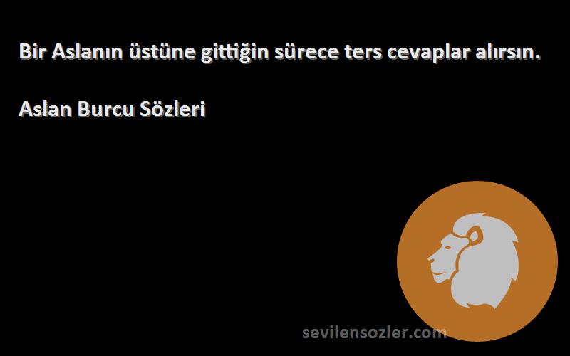 Aslan Burcu  - Bir Aslanın üstüne gittiğin sürece ters cevaplar alırsın.
