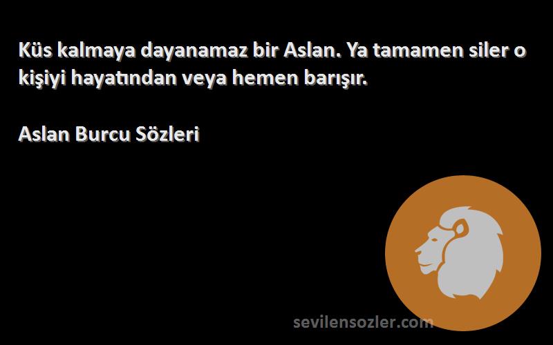 Aslan Burcu  - Küs kalmaya dayanamaz bir Aslan. Ya tamamen siler o kişiyi hayatından veya hemen barışır.

