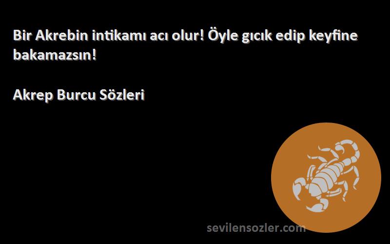 Akrep Burcu  Sözleri 
Bir Akrebin intikamı acı olur! Öyle gıcık edip keyfine bakamazsın!
