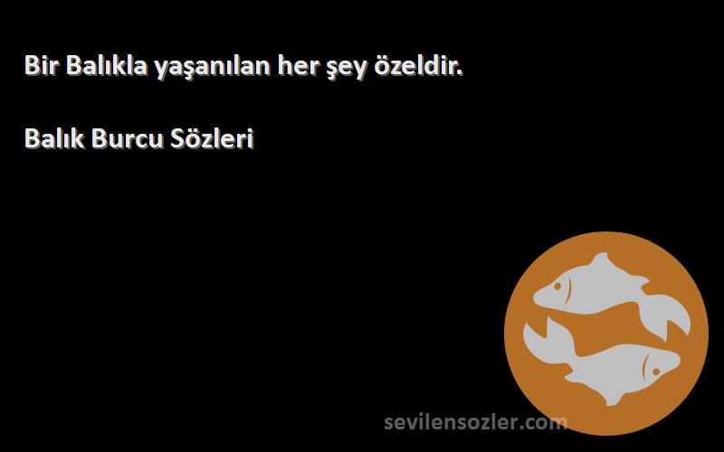 Balık Burcu  - Bir Balıkla yaşanılan her şey özeldir.
