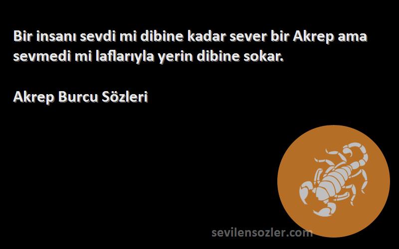 Akrep Burcu  - Bir insanı sevdi mi dibine kadar sever bir Akrep ama sevmedi mi laflarıyla yerin dibine sokar.
