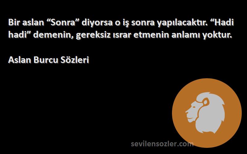 Aslan Burcu  Sözleri 
Bir aslan “Sonra” diyorsa o iş sonra yapılacaktır. “Hadi hadi” demenin, gereksiz ısrar etmenin anlamı yoktur.
