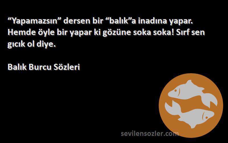 Balık Burcu  Sözleri 
“Yapamazsın” dersen bir “balık”a inadına yapar. Hemde öyle bir yapar ki gözüne soka soka! Sırf sen gıcık ol diye.
