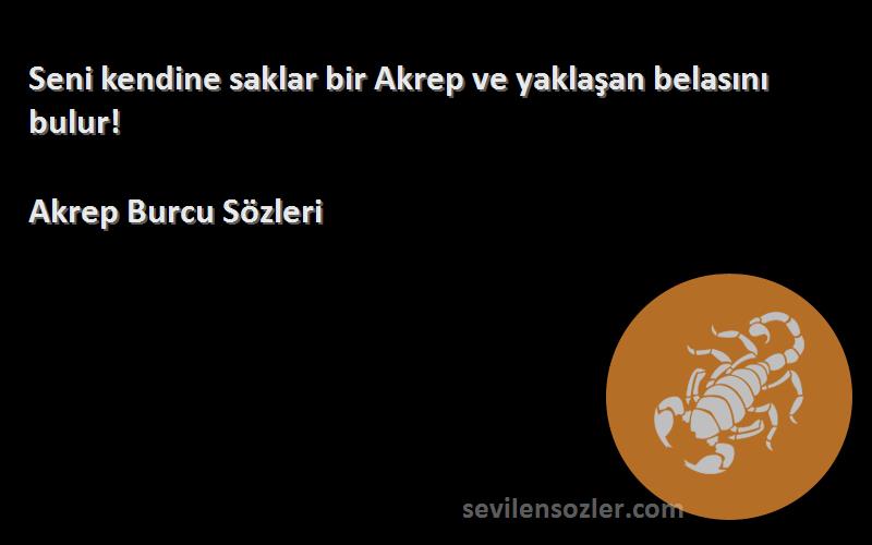 Akrep Burcu  - Seni kendine saklar bir Akrep ve yaklaşan belasını bulur!
