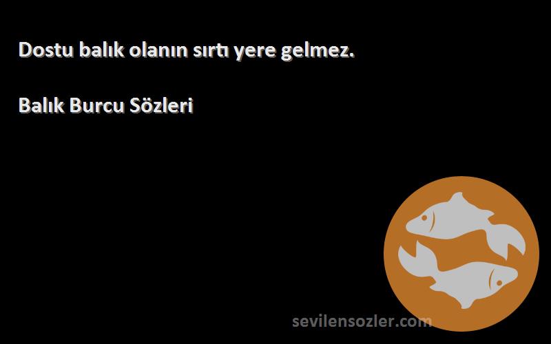 Balık Burcu  - Dostu balık olanın sırtı yere gelmez.
