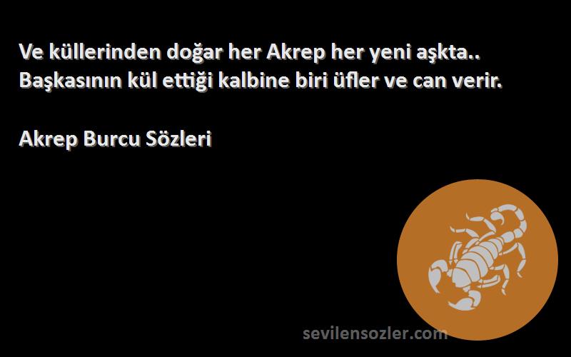 Akrep Burcu  Sözleri 
Ve küllerinden doğar her Akrep her yeni aşkta.. Başkasının kül ettiği kalbine biri üfler ve can verir.
