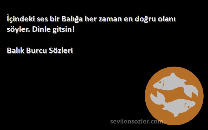 Balık Burcu  - İçindeki ses bir Balığa her zaman en doğru olanı söyler. Dinle gitsin!
