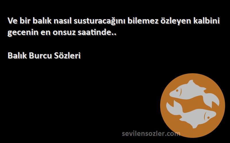 Balık Burcu  - Ve bir balık nasıl susturacağını bilemez özleyen kalbini gecenin en onsuz saatinde..
