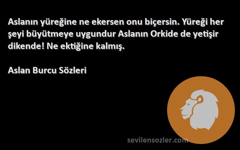 Aslan Burcu  Sözleri 
Aslanın yüreğine ne ekersen onu biçersin. Yüreği her şeyi büyütmeye uygundur Aslanın Orkide de yetişir dikende! Ne ektiğine kalmış.
