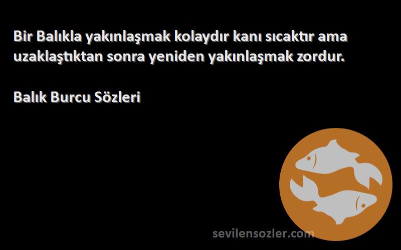Balık Burcu  - Bir Balıkla yakınlaşmak kolaydır kanı sıcaktır ama uzaklaştıktan sonra yeniden yakınlaşmak zordur.
...