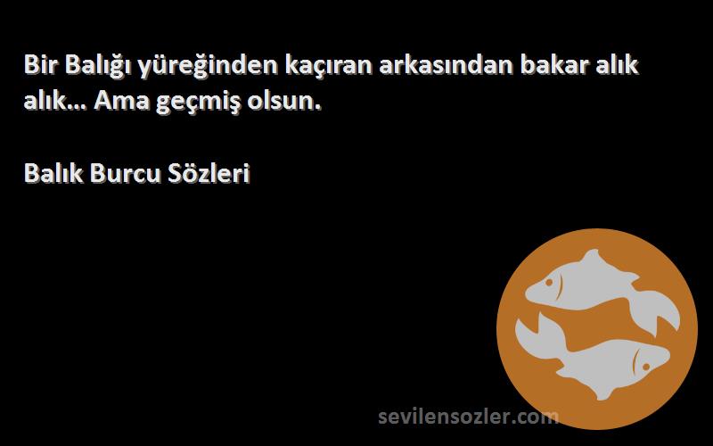 Balık Burcu  - Bir Balığı yüreğinden kaçıran arkasından bakar alık alık… Ama geçmiş olsun.
