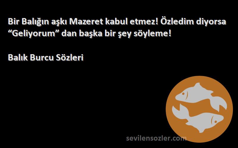 Balık Burcu  - Bir Balığın aşkı Mazeret kabul etmez! Özledim diyorsa “Geliyorum” dan başka bir şey söyleme!
