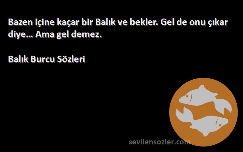 Balık Burcu  Sözleri 
Bazen içine kaçar bir Balık ve bekler. Gel de onu çıkar diye… Ama gel demez.
